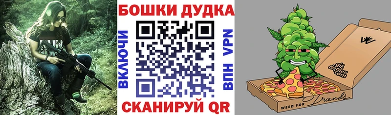 мориарти наркотические препараты  Камышин  Бошки марихуана тримм 